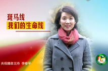 李修平：礼让斑马线是对生命的尊重